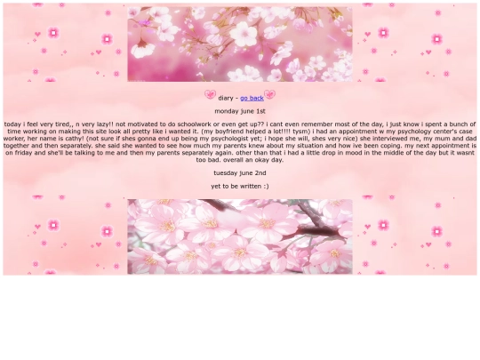 diary screenshot
