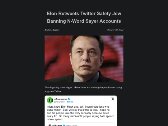 elon-retweets-twitter-safety-jew-banning-n-word-sayer-accounts screenshot