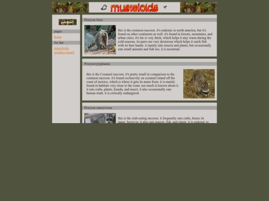 musteloids screenshot