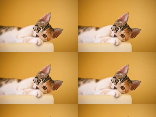 20221114/test02 screenshot