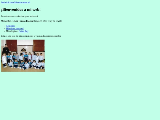 primera web screenshot
