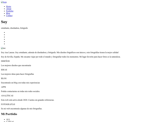 web profesional screenshot