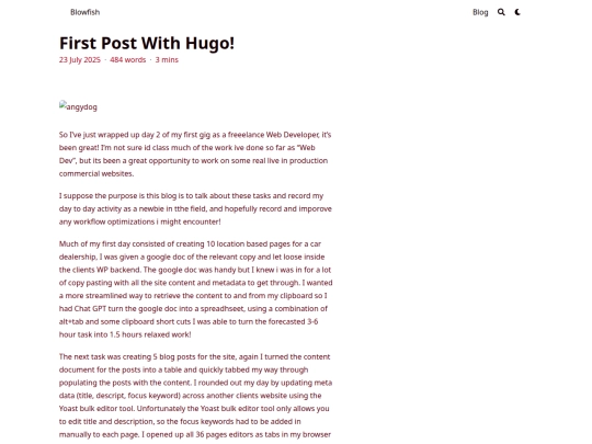 posts/first-post/23-07-25 screenshot