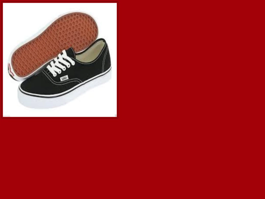 vans1 screenshot