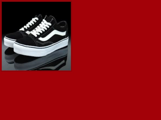 vans3 screenshot