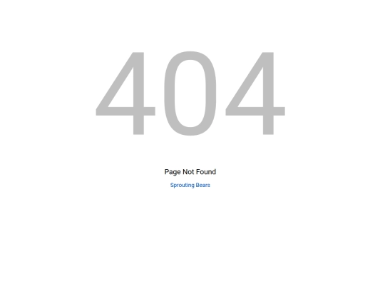 404 screenshot