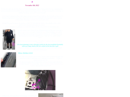 primary_diary_221108 screenshot