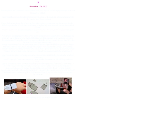 primary_diary_221121 screenshot