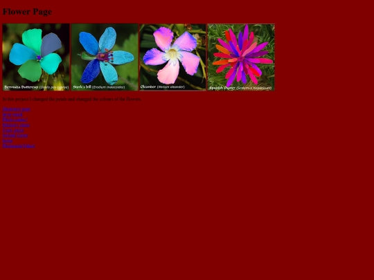 flower screenshot