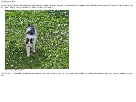 blogposts/14-03-2026 screenshot