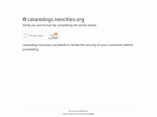 actual_website/cloudflare-captcha screenshot