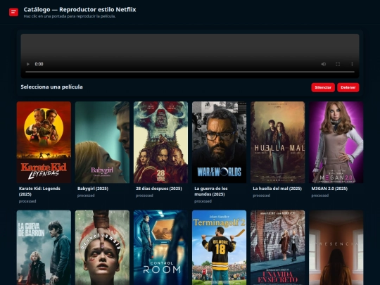 reproductor_netflix screenshot