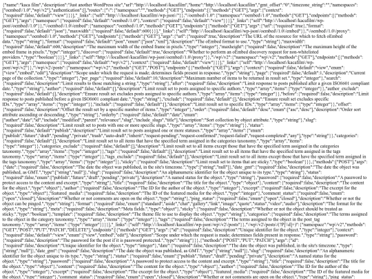 wp-json screenshot
