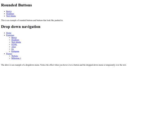 exercises/navcss screenshot