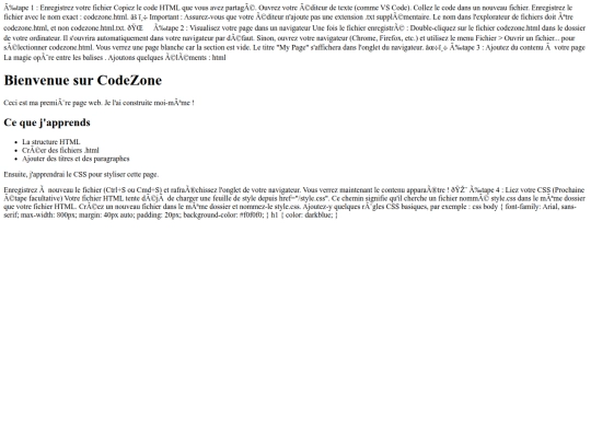 codezone screenshot