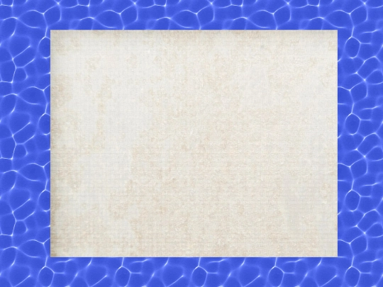 onePieceBlog screenshot
