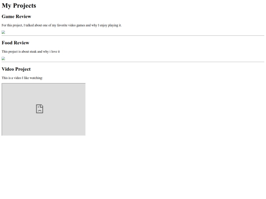 projects screenshot