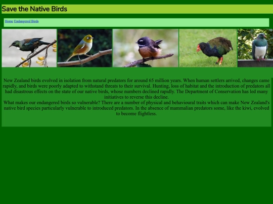AS91880 screenshot