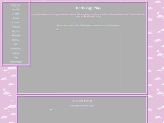 DIYS/pins screenshot