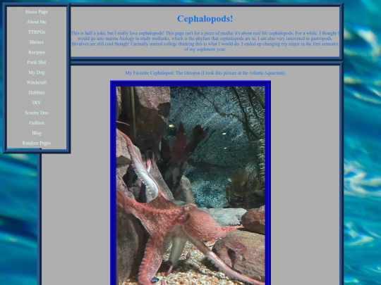 shrines/cephalopods screenshot