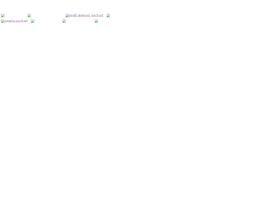 hehe screenshot