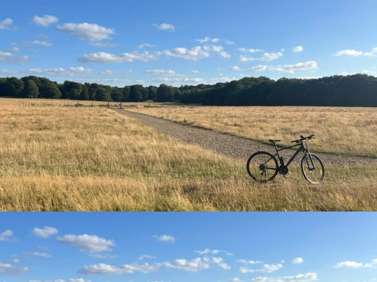 gallery screenshot