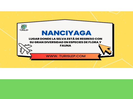 nanciyaga screenshot