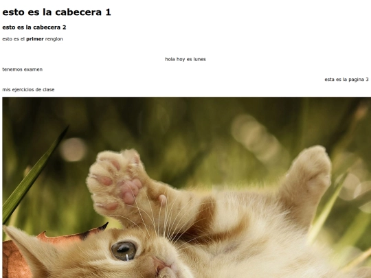 Ejercicios/ejercicio4 screenshot