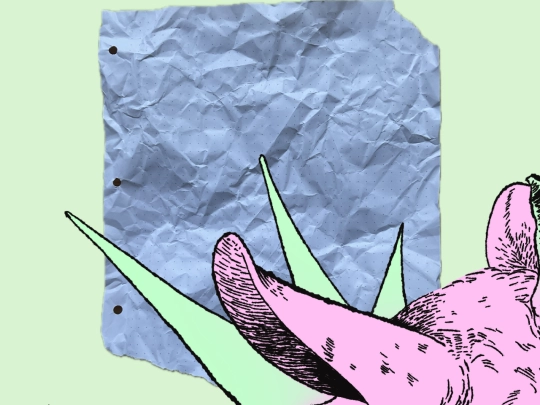 entry-2026-04-18 screenshot