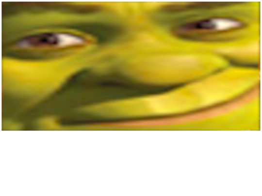 fun/shrek screenshot
