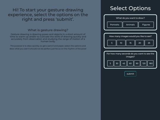 options screenshot