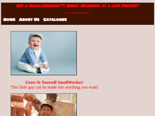 catalogue screenshot