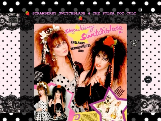 polka screenshot
