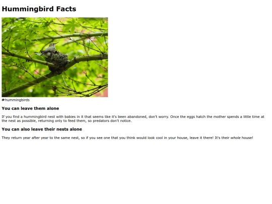 hummingbird-facts screenshot