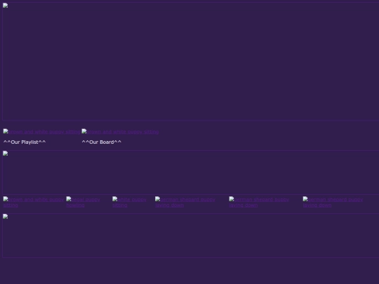 doublecode screenshot