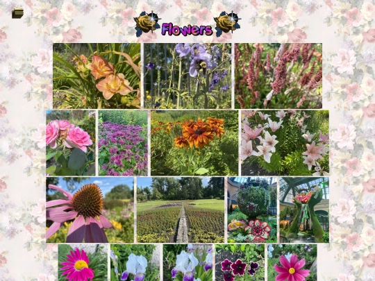 photosofflowers screenshot