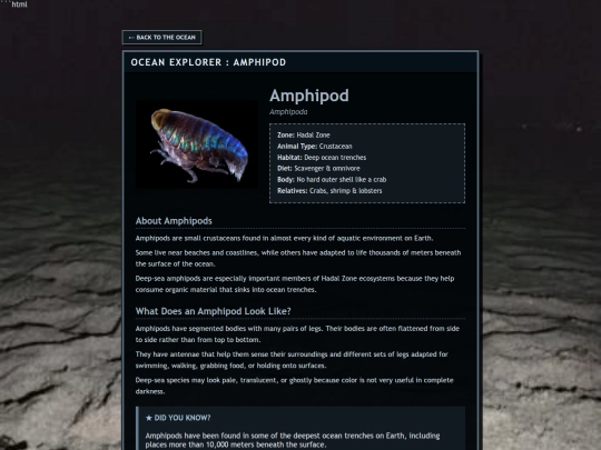 fish/amphipod screenshot