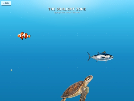 ocean screenshot