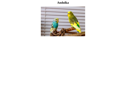 Andulka screenshot
