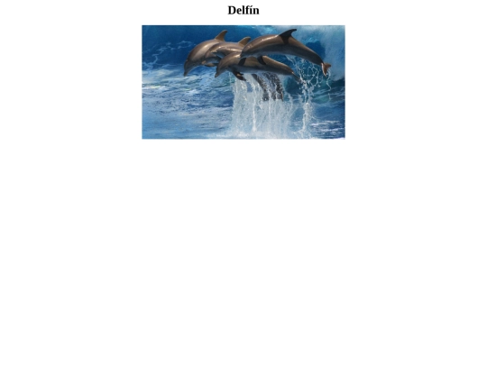 Delfín screenshot