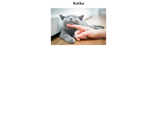 Kočka screenshot