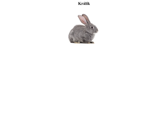 Králík screenshot