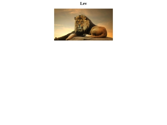 Lev screenshot
