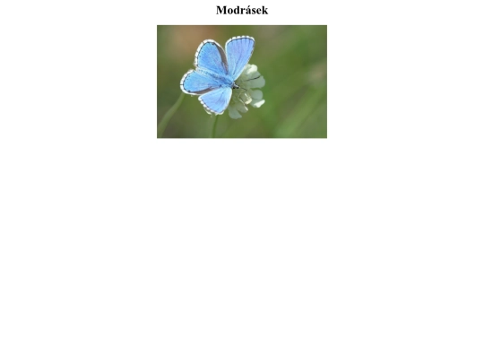 Modrásek screenshot