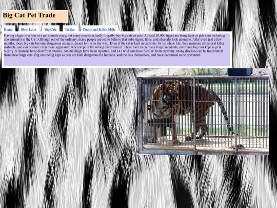 BigCats screenshot