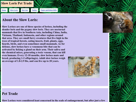 SlowLoris screenshot