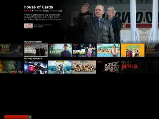projshrines/netflix screenshot