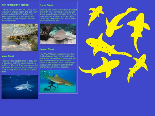 shark screenshot