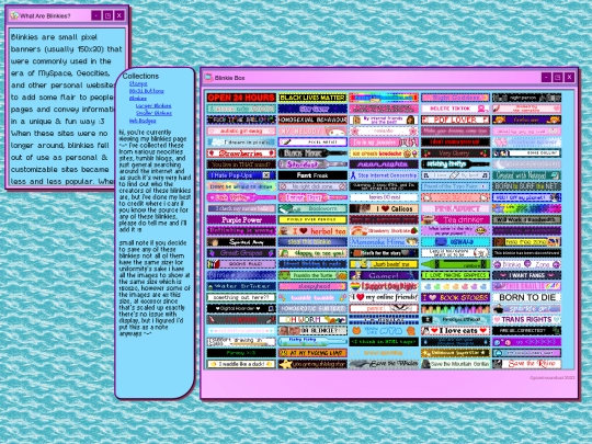 collected/blinkiecollection screenshot