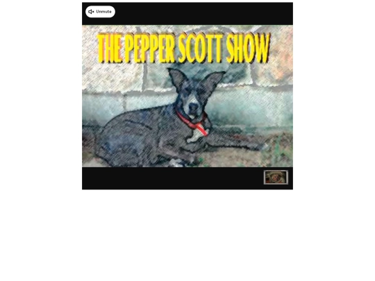 DAILYMOTION/dailymotion autoplay screenshot